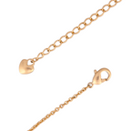 Lobster Clasp with Heart Tag Extender on a white background