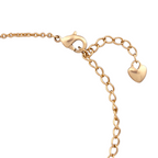Gold lobster clasp and heart charm extender chain on a white background